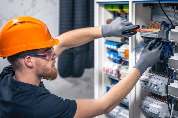 Best Electric Panel Repair  in Canton, TX